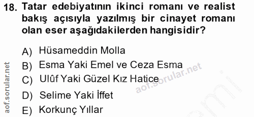 18. soru: Tatar edebiyatının ikinci romanı ve realist bakış açısıyla yazılmış bir cinayet romanı olan eser aşağıdakilerden hang…