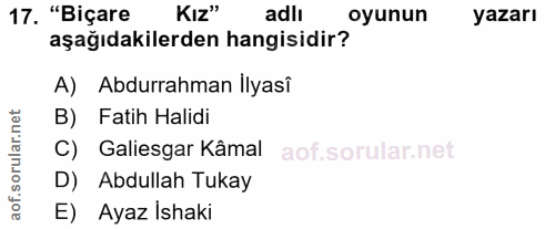 17. soru: "Biçare Kız" adlı oyunun yazarı aşağıdakilerden hangisidir? A) Abdurrahman Ilyasî B) Fatih Halidi C) Galiesgar Kâmal…