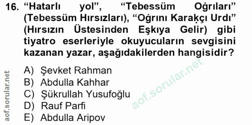 16. soru: "Hatarlı yol", "Tebessüm Ogriları" (Tebessüm Hırsızları), "Oğrını Karakçı Urdı" (Hırsızın Üstesinden Eşkıya Gelir) gi…
