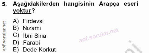 5. soru: Aşağıdakilerden hangisinin Arapça eseri yoktur? A) Firdevsi B) Nizami C) Ibni Sina D) Farabi E) Dede Korkut