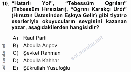 10. soru: "Hatarlı Yol", "Tebessüm Ogrıları" (Tebessüm Hırsızları), "Ogrını Karakçı Urdı" (Hırsızın Üstesinden Eşkıya Gelir) gi…