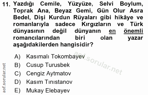 11. soru: Yazdığı Cemile, Yüzyüze, Selvi Boylum, Toprak Ana, Beyaz Gemi, Gün Olur Asra Bedel, Dişi Kurdun Rüyaları gibi hikâye…
