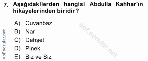 7. soru: Aşağıdakilerden hangisi Abdulla Kahhar'ın hikâyelerinden biridir? A) Cuvanbaz B) Nar C) Dehşet D) Pinek E) Biz ve Siz