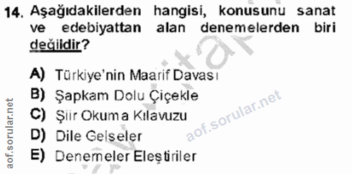14. soru: Aşağıdakilerden hangisi, konusunu sanat ve edebiyattan alan denemelerden biri değildir? A) Türkiye'nin Maarif Davası…
