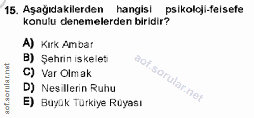 15. soru: Aşağıdakilerden hangisi psikoloji-felsefe konulu denemelerden biridir? A) Kırk Ambar B) Şehrin iskeleti C) Var Olmak…