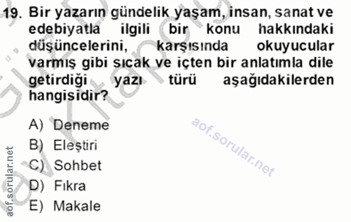 19. soru: Bir yazarın gündelik yaşam, insan, sanat ve edebiyatla ilgili bir konu hakkindaki düşüncelerini, karşısında okuyucula…