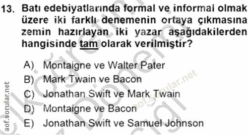 13. soru: Batı edebiyatlarında formal ve informai olmak üzere iki farklı denemenin ortaya çıkmasına zemin hazırlayan iki yazar…
