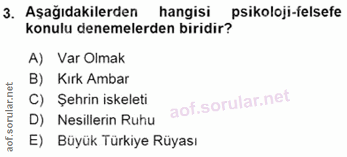 3. soru: Aşağıdakilerden hangisi psikoloji-felsefe konulu denemelerden biridir? A) Var Olmak B) Kırk Ambar C) Şehrin iskeleti…