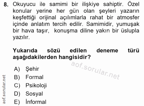 8. soru: Okuyucu ile samimi bir ilişkiye sahiptir. Özel konular yerine her gün olan şeyleri yazarın keşfettiği orijinal açılım…