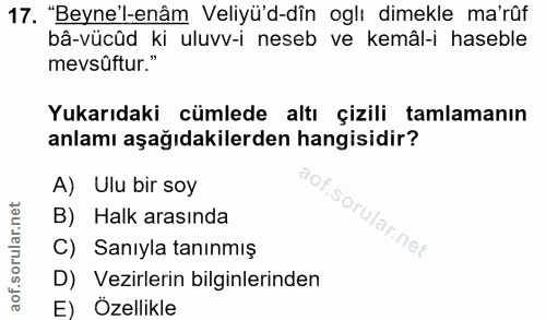 17. soru: "Beyne'l-enâm Veliyü'd-dîn oglı dimekle ma'rûf bâ-vücûd ki uluvv-i neseb ve kemâl-i haseble mevsûftur." Yukarıdaki cü…
