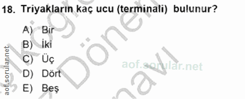 18. soru: Triyakların kaç ucu (terminali) bulunur? A) Bir B)Iki aof sorulannet C) Uç aof.so rular.net D) Dört 7 E) Beş