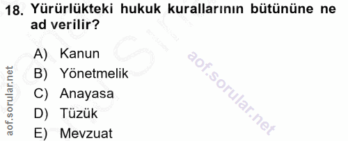 18. soru: Yürürlükteki hukuk kurallarının bütününe ne ad verilir? A) Kanun B) Yönetmelik C) Anayasa D) Tüzük E) Mevzuat