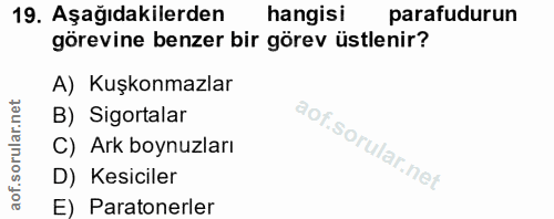 19. soru: Aşağıdakilerden hangisi parafudurun görevine benzer bir görev üstlenir? A) Kuşkonmazlar B) Sigortalar C) Ark boynuzla…
