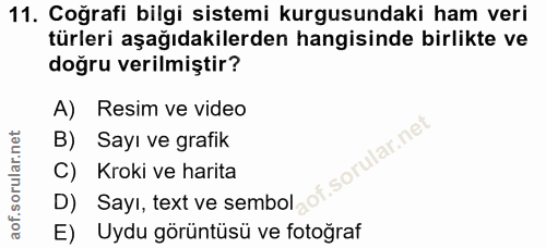 11. soru: Coğrafi bilgi sistemi kurgusundaki ham veri türleri aşağıdakilerden hangisinde birlikte ve doğru verilmiştir? A) Resi…