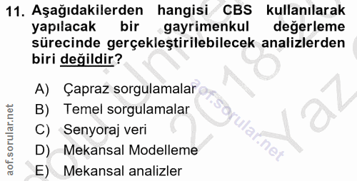 11. soru: Aşağıdakilerden hangisi CBS kullanılarak yapılacak bir gayrimenkul değerleme sürecinde gerçekleştirilebilecek analizl…
