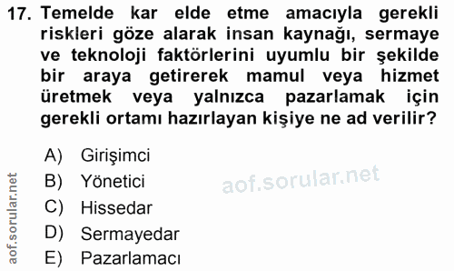 17. soru: Temelde kar elde etme amacıyla gerekli riskleri göze alarak insan kaynağı, sermaye ve teknoloji faktörlerini uyumlu b…