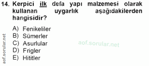 14. soru: Kerpici ilk defa yapı malzemesi olarak kullanan uygarlık aşağıdakilerden hangisidir? A) Fenikeliler B) Sümerler C) As…