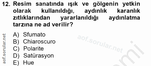 12. soru: Resim sanatında ışık ve gölgenin yetkin olarak kullanıldığı, aydınlık karanlık zıtlıklarından yararlanıldığı aydınlat…