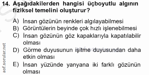 14. soru: Aşağıdakilerden hangisi üçboyutlu algının fiziksel temelini oluşturur? A) İnsan gözünün renkleri algılayabilmesi B) G…