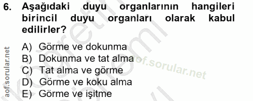 6. soru: Aşağıdaki duyu organlarının hangileri birincil duyu organları olarak kabul edilirler? B) Dokunma ve tat alma of. A) G…