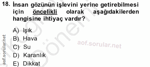 18. soru: Insan gözünün işlevini yerine getirebilmesi için öncelikli olarak aşağıdakilerden hangisine ihtiyaç vardır? A) Işık B…