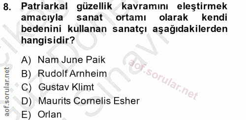 8. soru: Patriarkal güzellik kavramını eleştirmek amacıyla sanat ortamı olarak kendi bedenini kullanan sanatçı aşağıdakilerden…