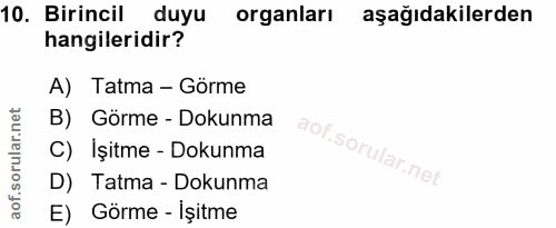 10. soru: Birincil duyu organları aşağıdakilerden hangileridir? A) Tatma - Görme B) Görme - Dokunma aof. C) Işitme - Dokunma D)…