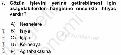 7. soru: Gözün işlevini yerine getirebilmesi için aşağıdakilerden hangisine öncelikle ihtiyaç vardır? A) Nesnelere B) Isıya @g…
