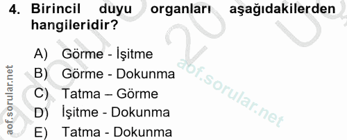 4. soru: Birincil duyu organları aşağıdakilerden hangileridir? A) Görme - Işitme B) Görme - Dokunma C) Tatma - Görme İşitme -…