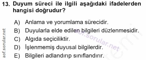 13. soru: Duyum süreci ile ilgili aşağıdaki ifadelerden hangisi doğrudur? A) Anlama ve yorumlama sürecidir. B) Duyularla elde e…