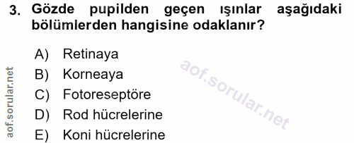 3. soru: Gözde pupilden geçen ışınlar aşağıdaki bölümlerden hangisine odaklanır? A) Retinaya B) Korneaya C) Fotoreseptöre D) R…
