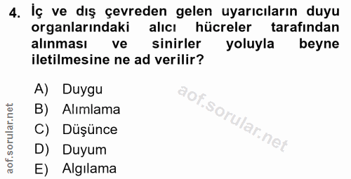 4. soru: İç ve dış çevreden gelen uyarıcıların duyu organlarındaki alıcı hücreler tarafından alınması ve sinirler yoluyla beyn…