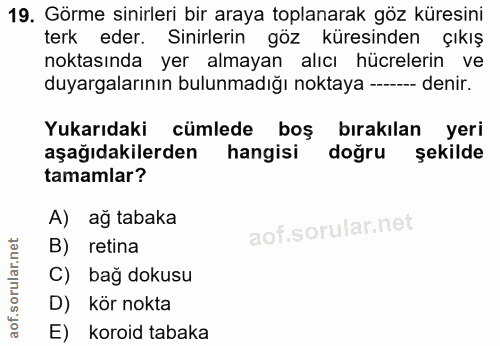 19. soru: Görme sinirleri bir araya toplanarak göz küresini terk eder. Sinirlerin göz küresinden çıkış noktasında yer almayan a…