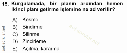 15. soru: Kurgulamada, bir planın ardından hemen ikinci planı getirme işlemine ne ad verilir? A) Kesme B) Bindirme Silinme D) Z…