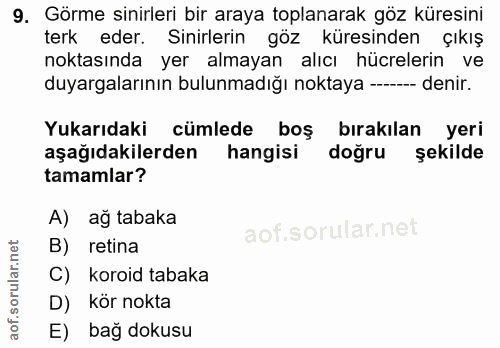9. soru: Görme sinirleri bir araya toplanarak göz küresini terk eder. Sinirlerin göz küresinden çıkış noktasında yer almayan a…