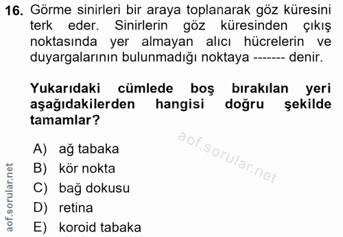 16. soru: Görme sinirleri bir araya toplanarak göz küresini terk eder. Sinirlerin göz küresinden çıkış noktasında yer almayan a…