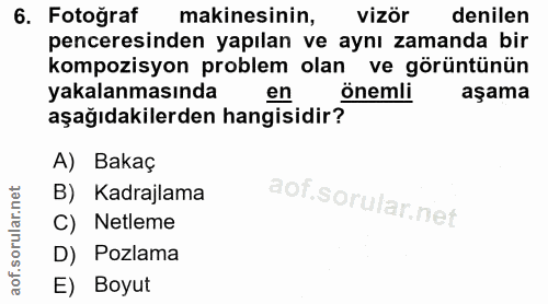 6. soru: Fotoğraf makinesinin, vizör denilen penceresinden yapılan ve aynı zamanda bir kompozisyon problem olan ve görüntünün…