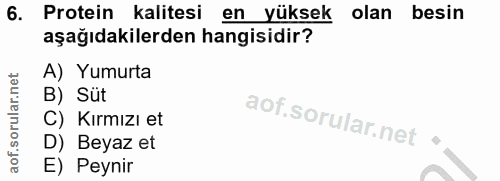 6. soru: Protein kalitesi en yüksek olan besin aşağıdakilerden hangisidir? A) Yumurta B) Süt C) Kırmızı et D) Beyaz et E) Peynir