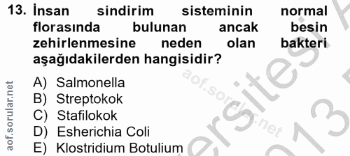 13. soru: Insan sindirim sisteminin normal florasında bulunan ancak besin zehirlenmesine neden olan bakteri aşağıdakilerden han…