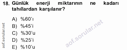 18. soru: Günlük enerji miktarının ne kadarı tahıllardan karşılanır? A) %60'1 B) %45'i C) %30'u D) %25'i E) %10'u