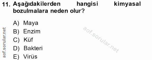 11. soru: Aşağıdakilerden hangisi kimyasal bozulmalara neden olur? A) Maya B) Enzim C) Küf D) Bakteri E) Virüs