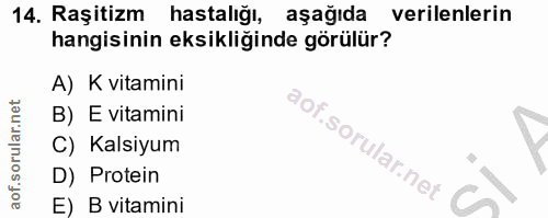 14. soru: Raşitizm hastalığı, aşağıda verilenlerin hangisinin eksikliğinde görülür? A) K vitamini B) E vitamini C) Kalsiyum D)…