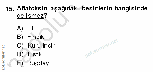 15. soru: Aflatoksin aşağıdaki besinlerin hangisinde gelişmez? A) Et B) Fındık C) Kuru incir D) Fıstik E) Bugday