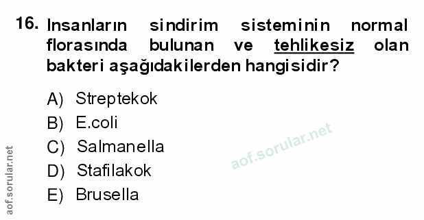 16. soru: Insanların sindirim sisteminin normal florasında bulunan ve tehlikesiz olan bakteri aşağıdakilerden hangisidir? A) St…