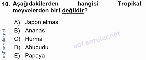 10. soru: Aşağıdakilerden hangisi Tropikal meyvelerden biri değildir? A) Japon elması B) Ananas C) Hurma D) Ahududu E) Papaya