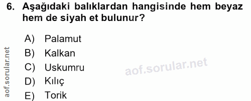6. soru: Aşağıdaki balıklardan hangisinde hem beyaz hem de siyah et bulunur? A) Palamut B) Kalkan C) Uskumru D) Kilıç E) Torik