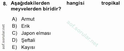 8. soru: Aşağıdakilerden hangisi tropikal meyvelerden biridir? A) Armut B) Erik C) Japon elması D) Şeftali E) Kayısı