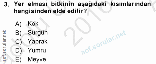 3. soru: Yer elması bitkinin aşağıdaki kısımlarından hangisinden elde edilir? A) Kök B) Sürgün C) Yaprak D) Yumru E) Meyve