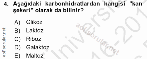 4. soru: Aşağıdaki karbonhidratlardan hangisi "kan şekeri" olarak da bilinir? A) Glikoz B) Laktoz Riboz D) Galaktoz E) Maltoz