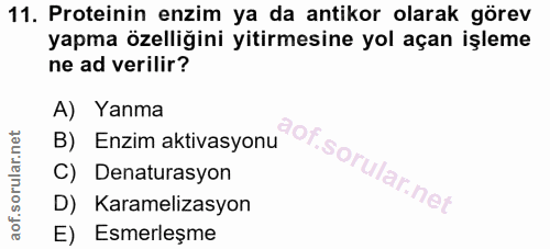 11. soru: Proteinin enzim ya da antikor olarak görev yapma özelliğini yitirmesine yol açan işleme ne ad verilir? A) Yanma B) En…